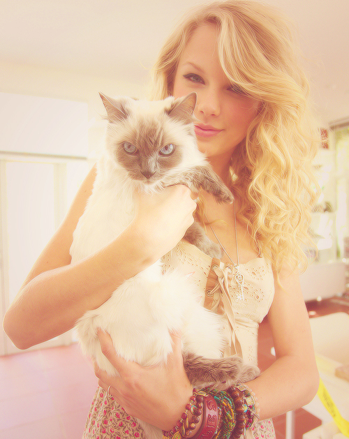 Taylor_%26_her_cat.jpg