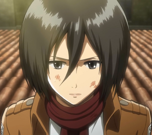 Mikasa Ackerman Anime.png