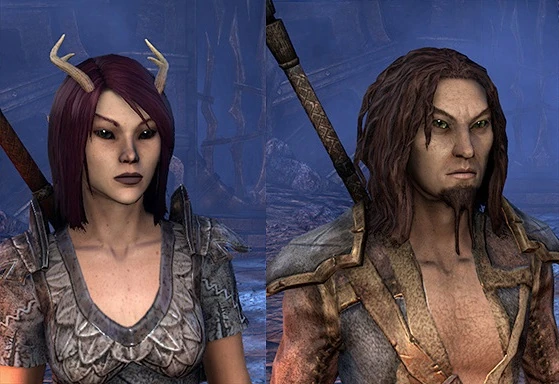 Wood_Elf_%28Online%29.jpg