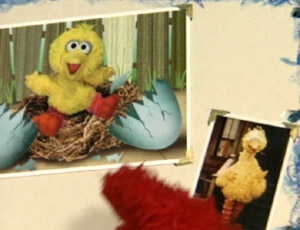 Elmo's World: Babies - Muppet Wiki