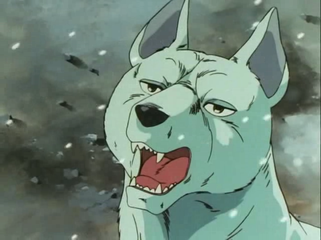 Akame - Ginga Wiki - Gin, Ginga: Nagareboshi Gin