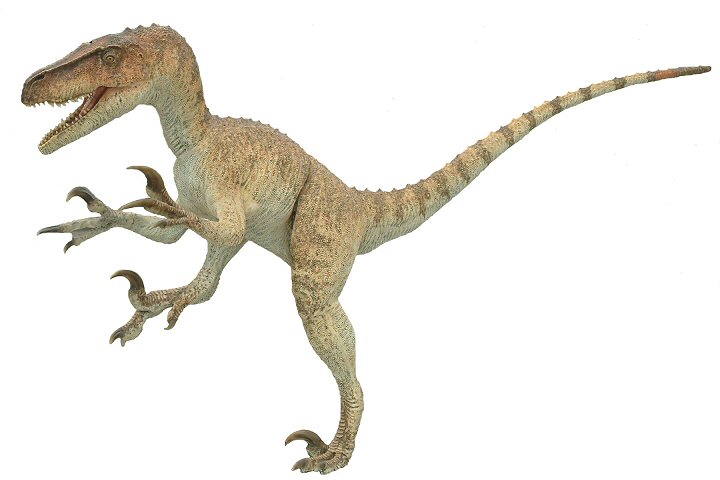 Utahraptor - Sauropedia Wiki