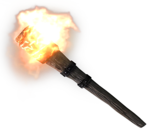 What is the BRIGHTEST torch light?