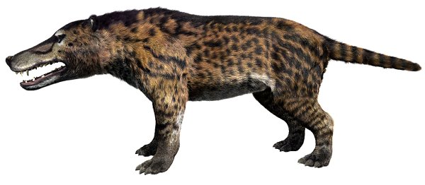 Andrewsarchus - Walking With Wikis - the free Walking with... encyclopedia